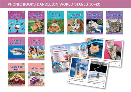 Phonic Books Dandelion World Stages 16-20 ('tch' and 've', two-syllable words, suffixes -ed and -ing and 'le') by Phonic Books