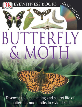 DK Eyewitness Books: Butterfly and Moth by DK