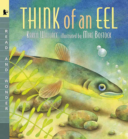 Think of an Eel: Big Book by Karen Wallace