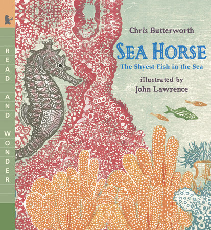 Sea Horse by Chris Butterworth
