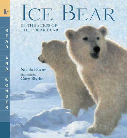 Ice Bear with Audio, Peggable
