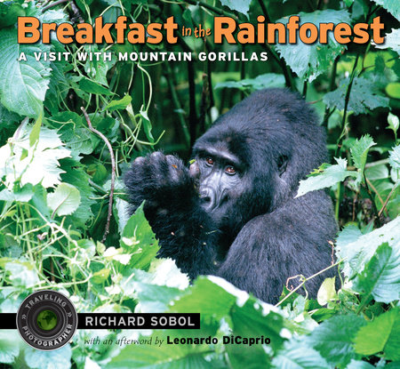 Breakfast in the Rainforest by Richard Sobol