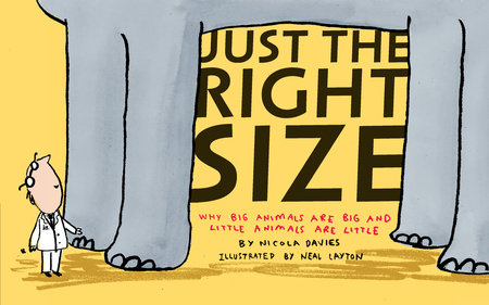 Just the Right Size by Nicola Davies