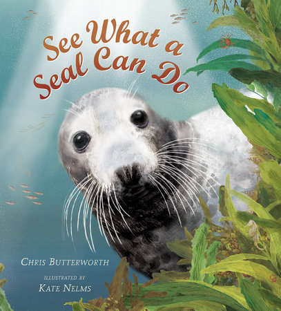 See What a Seal Can Do by Christine Butterworth