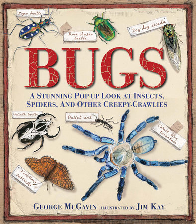 Bugs by George McGavin