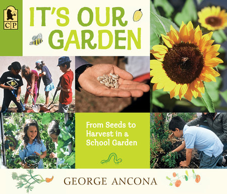 It's Our Garden by George Ancona