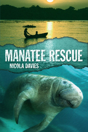 Manatee Rescue by Nicola Davies