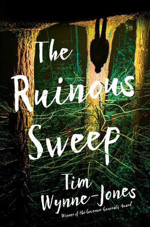 The Ruinous Sweep by Tim Wynne-Jones