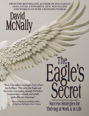 The Eagle's Secret by David McNally