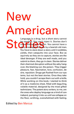 New American Stories by 
