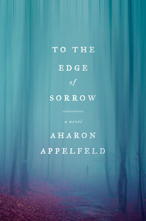 To the Edge of Sorrow by Aharon Appelfeld