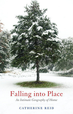 Falling into Place by Catherine Reid