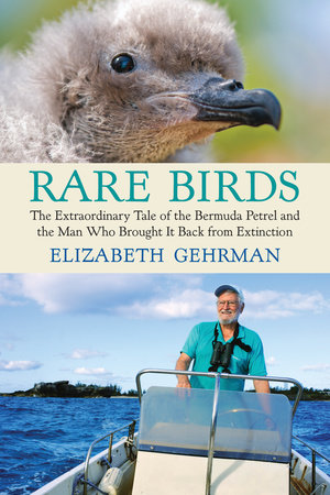 Rare Birds by Elizabeth Gehrman