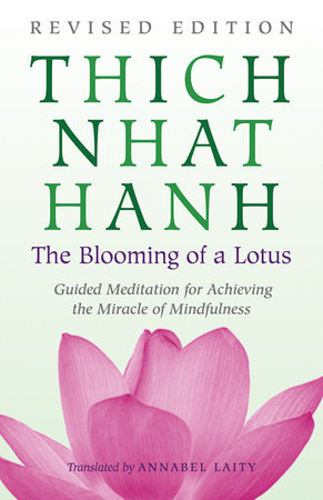 thich nhat hanh miracle of mindfulness pdf