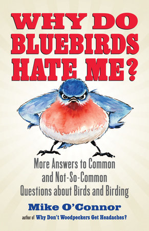 Why Do Bluebirds Hate Me? by Mike O'Connor
