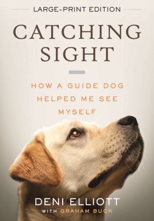 Catching Sight (LARGE PRINT EDITION) by Deni Elliott