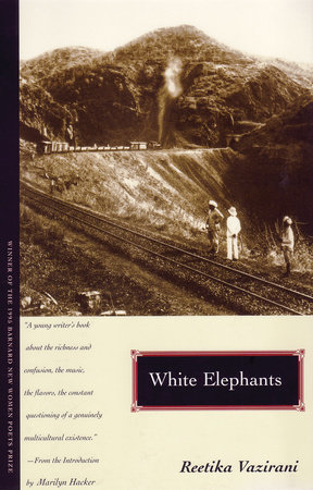 White Elephants by Reetika Vazirani