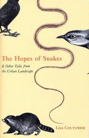 The Hopes of Snakes by Lisa Couturier