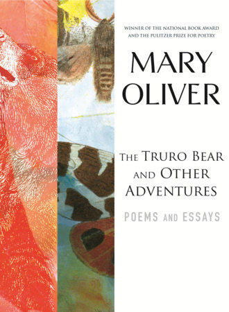 The Truro Bear and Other Adventures by Mary Oliver
