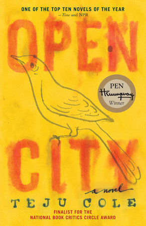 Open City Book Cover Picture