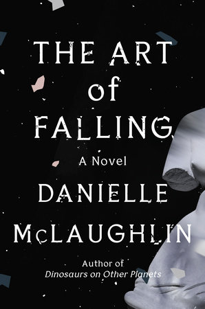 The Art of Falling by Danielle McLaughlin