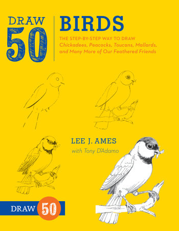 Draw 50 Birds by Lee J. Ames and Tony D'Adamo