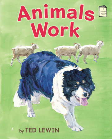 Animals Work by Ted Lewin