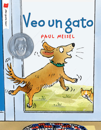 I See a Cat by Written & illustrated by Paul Meisel