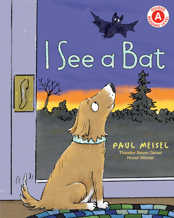 I See a Bat by Paul Meisel