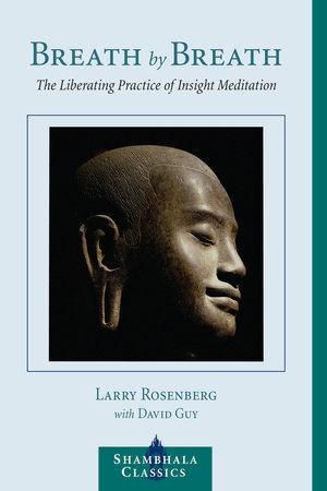 Breath by Breath by Larry Rosenberg