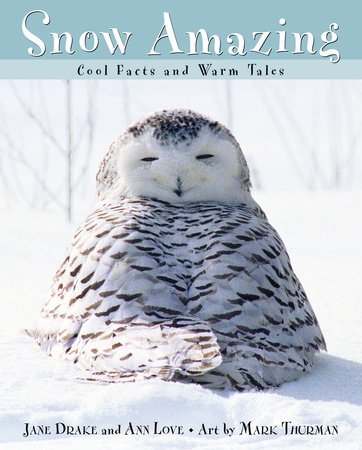 Snow Amazing by Jane Drake and Ann Love