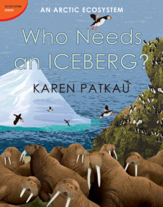 Who Needs an Iceberg?