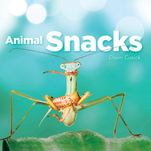 Animal Snacks