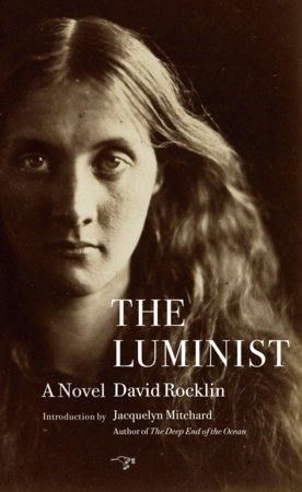 The Luminist by David Rocklin