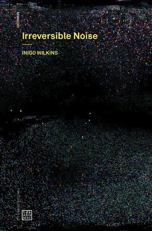 Irreversible Noise by Inigo Wilkins