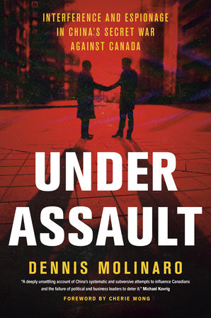 Under Assault by Dennis Molinaro