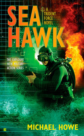 Sea Hawk by Michael Howe