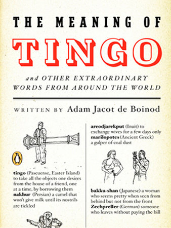 The Meaning of Tingo by Adam Jacot de Boinod