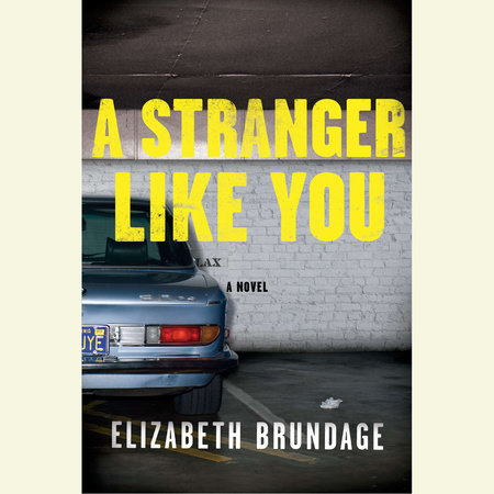 A Stranger Like You by Elizabeth Brundage