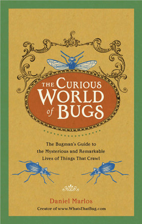 The Curious World of Bugs by Daniel Marlos