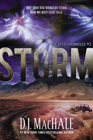 Storm by D.J. MacHale