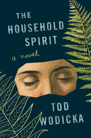 The Household Spirit by Tod Wodicka