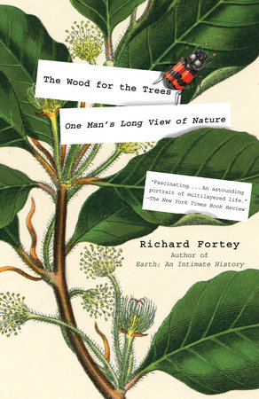 The Wood for the Trees by Richard Fortey