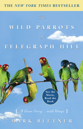 The Wild Parrots of Telegraph Hill by Mark Bittner