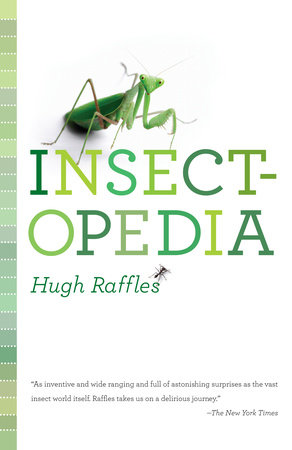 Insectopedia by Hugh Raffles