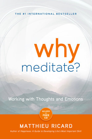 Why Meditate? by Matthieu Ricard