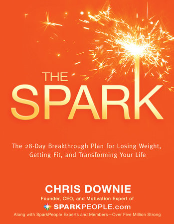 The Spark by Chris Downie