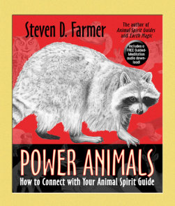 Animal Spirit Guides by Steven D. Farmer: 9781401907334 |  : Books