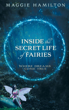Inside the Secret Life of Fairies by Maggie Hamilton