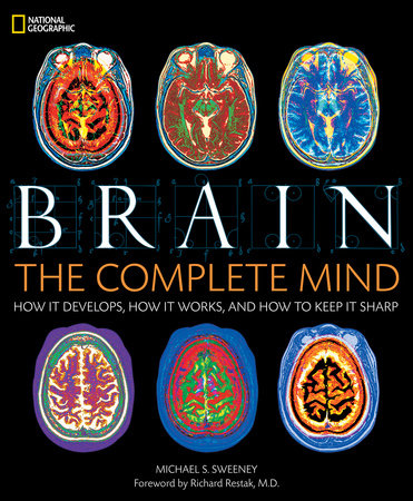 Brain by Michael Sweeney